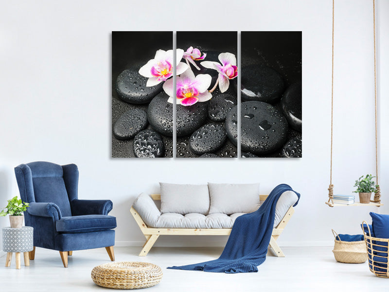 3-piece-canvas-print-feng-shui-orchid-zen