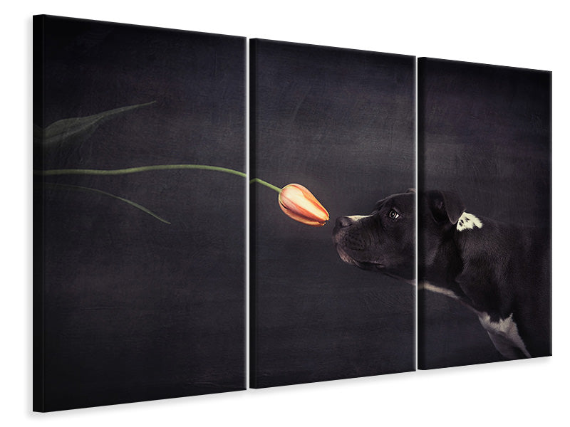 3-piece-canvas-print-first-approach-hildegard-and-the-tulip