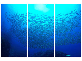 3-piece-canvas-print-fish-world