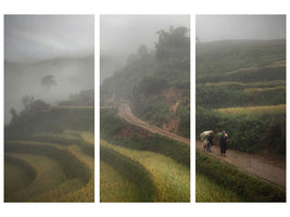 3-piece-canvas-print-fog