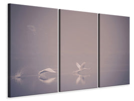 3-piece-canvas-print-foggy-takeoff