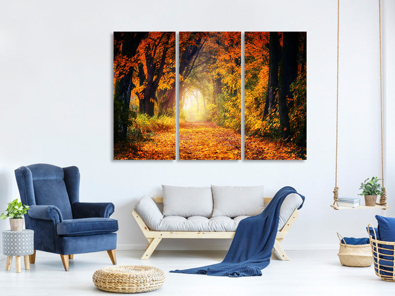 3-piece-canvas-print-forest-walk