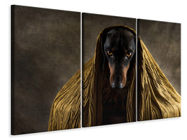 3-piece-canvas-print-golden-eyes-a