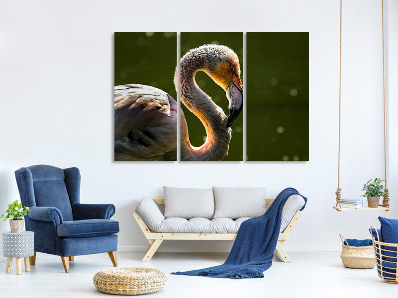 3-piece-canvas-print-gorgeous-bird