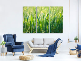 3-piece-canvas-print-grass-with-morning-dew-xl