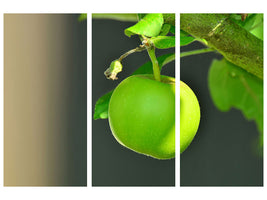 3-piece-canvas-print-green-apple