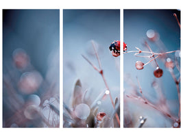 3-piece-canvas-print-high-diving