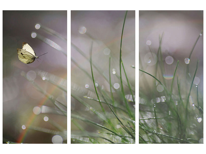 3-piece-canvas-print-imminent-landing