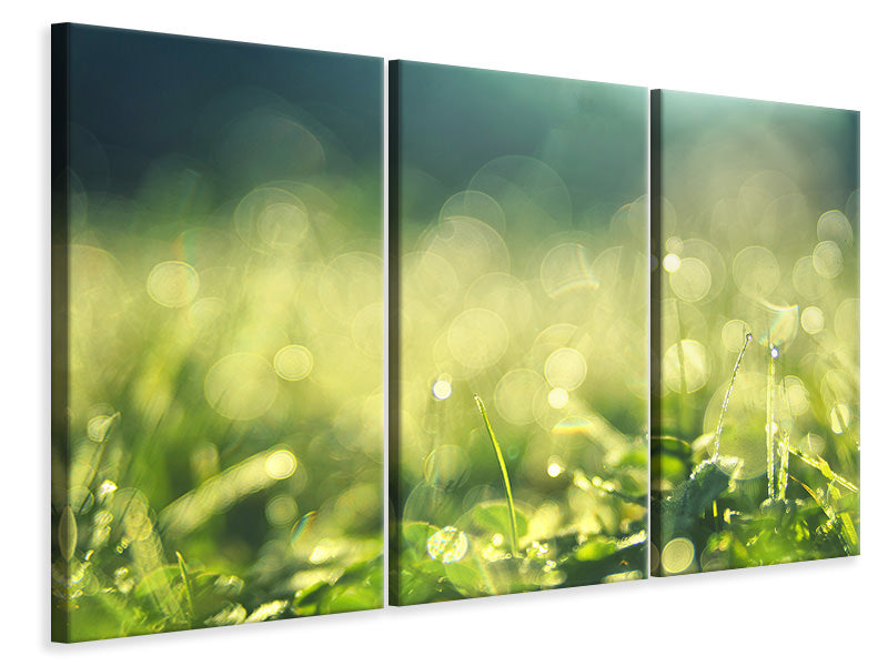 3-piece-canvas-print-in-the-meadow