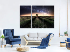 3-piece-canvas-print-lavender-way