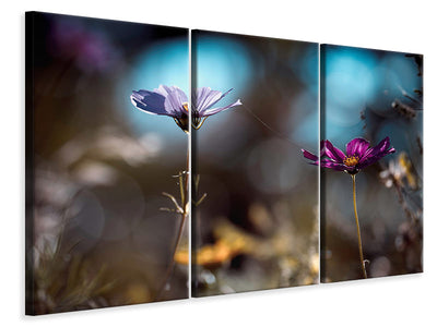 3-piece-canvas-print-le-lien