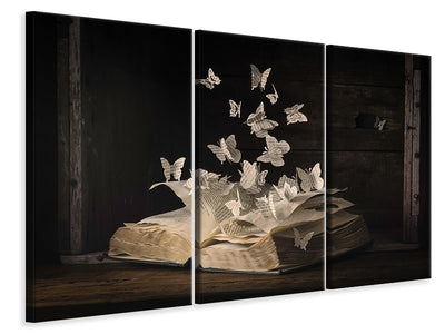 3-piece-canvas-print-lepidopterology