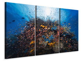 3-piece-canvas-print-life-explosion