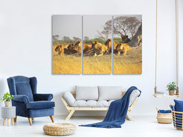 3-piece-canvas-print-lion-family