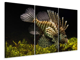 3-piece-canvas-print-lion-fish