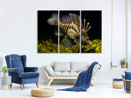 3-piece-canvas-print-lion-fish