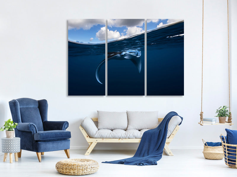 3-piece-canvas-print-little-manta-ray