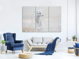 3-piece-canvas-print-looking-around