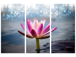 3-piece-canvas-print-lotus-in-the-morning-dew