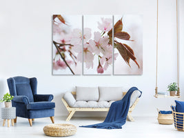 3-piece-canvas-print-lovely-japanese-cherry