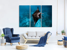 3-piece-canvas-print-manta-fly