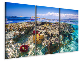 3-piece-canvas-print-mayotte-the-reef