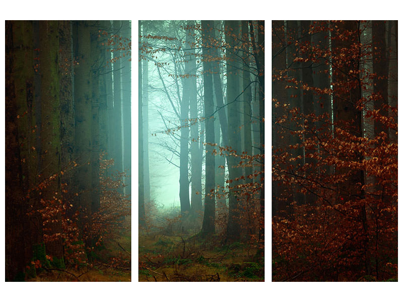 3-piece-canvas-print-mood-in-the-forest