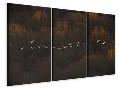 3-piece-canvas-print-morning-mood