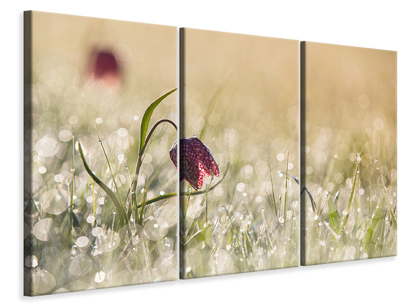 3-piece-canvas-print-morningdew