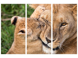 3-piece-canvas-print-mother-love