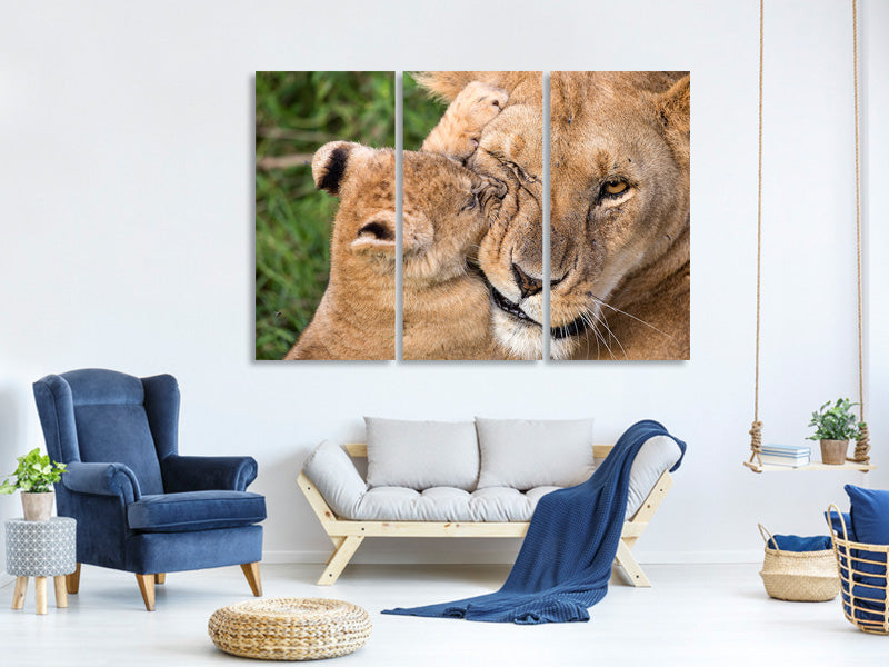 3-piece-canvas-print-mother-love