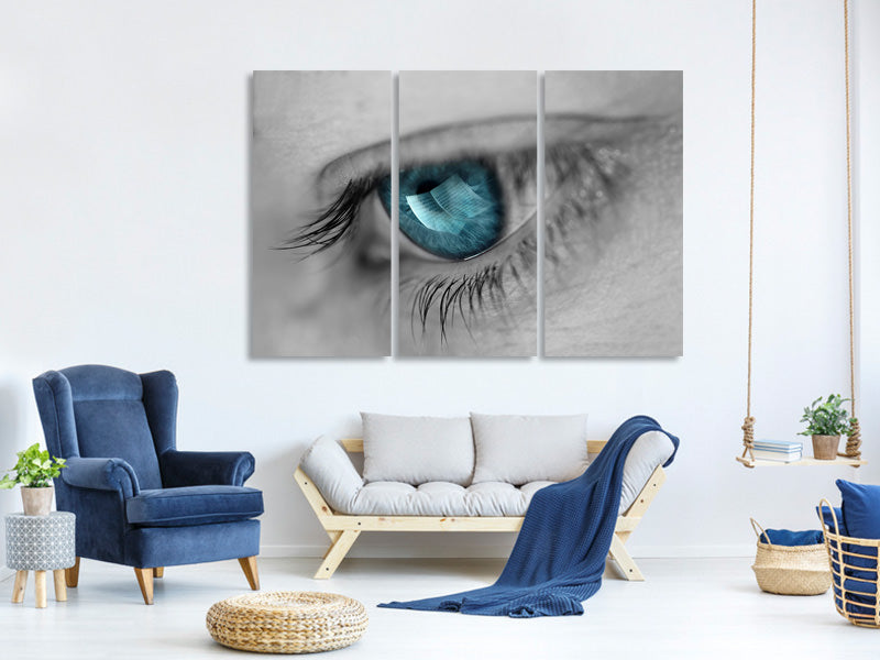 3-piece-canvas-print-music-in-her-eyes