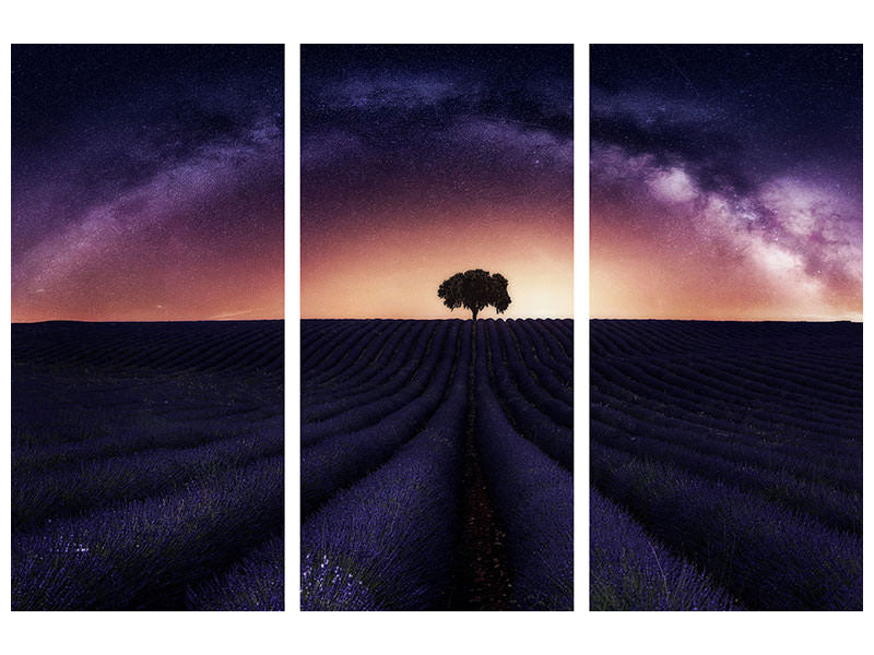 3-piece-canvas-print-my-lavander