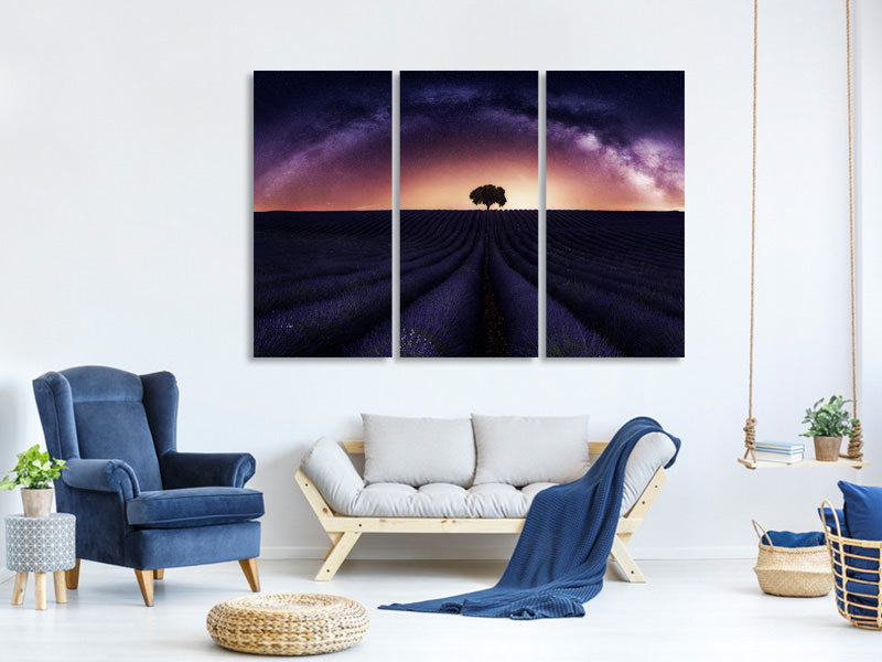 3-piece-canvas-print-my-lavander