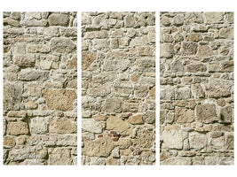 3-piece-canvas-print-nature-wall