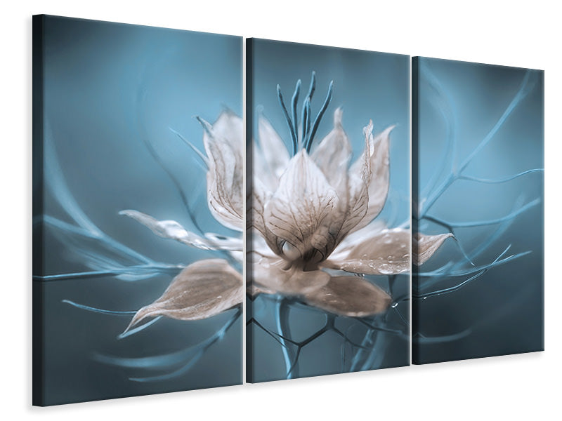 3-piece-canvas-print-nigella