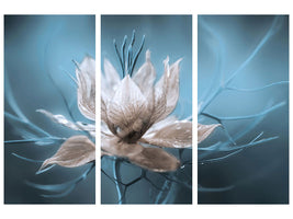 3-piece-canvas-print-nigella