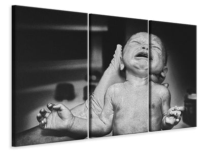 3-piece-canvas-print-no-words-to-describe-the-feeling