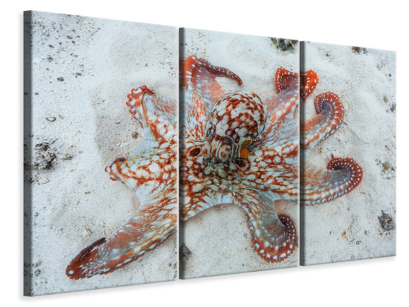 3-piece-canvas-print-octopus-a