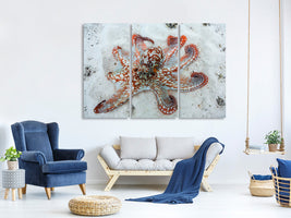 3-piece-canvas-print-octopus-a