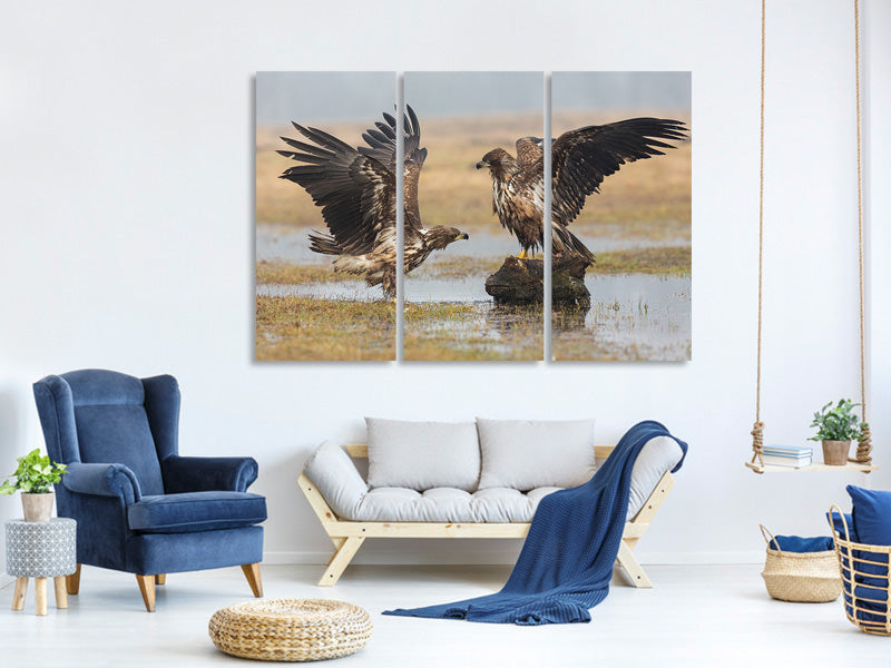 3-piece-canvas-print-open-wings