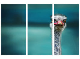 3-piece-canvas-print-ostrich-protecting-two-poor-chicken-from-the-wind