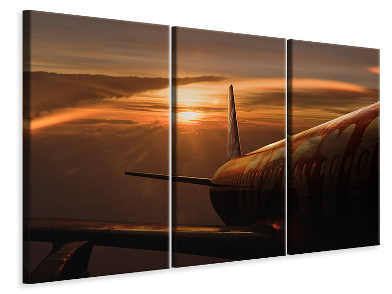 3-piece-canvas-print-out-of-the-flight