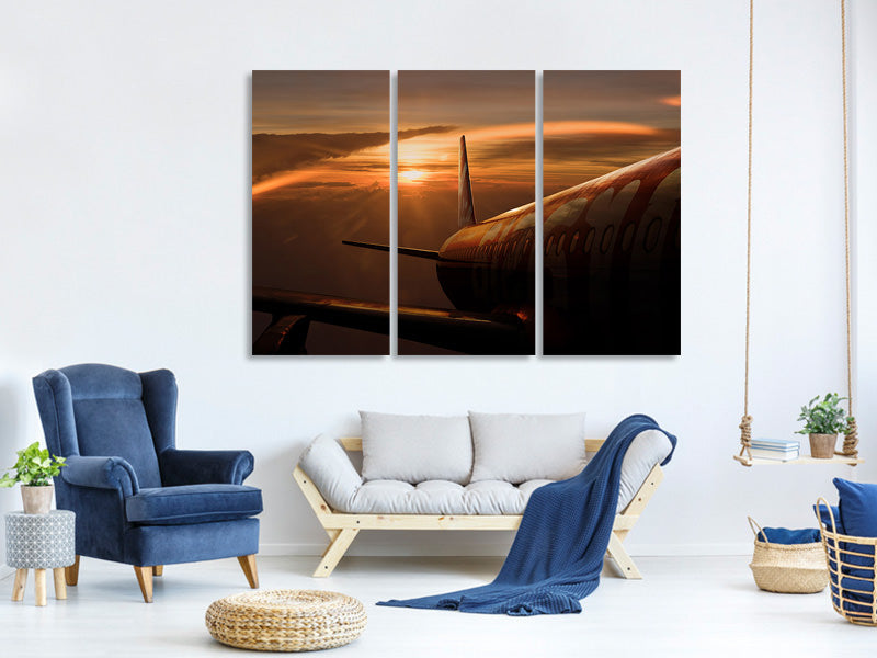 3-piece-canvas-print-out-of-the-flight