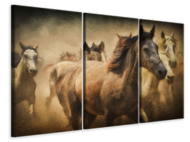 3-piece-canvas-print-painting-wild-horses