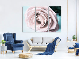 3-piece-canvas-print-pastel-rose