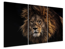 3-piece-canvas-print-portrait-of-a-lion