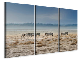 3-piece-canvas-print-promenade