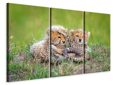 3-piece-canvas-print-promising