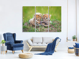 3-piece-canvas-print-promising